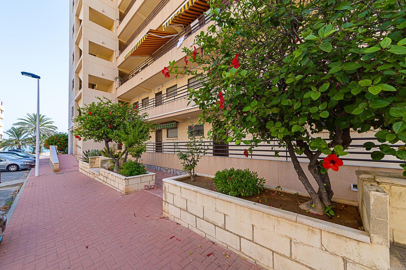 Miramar Magic Sea & Sunrise View Appartement Torrevieja Buitenkant foto